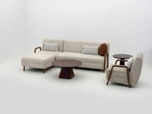 آکیتا - Image 5