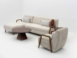 آکیتا - Image 6