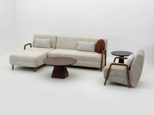 آکیتا - Image 8