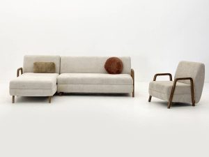 آکیتا - Image 2
