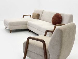 آکیتا - Image 4